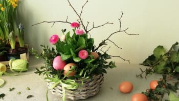 Velikonoční květináček se sedmikráskou rozzáří každý obývák. Stačí chvilka aranžování