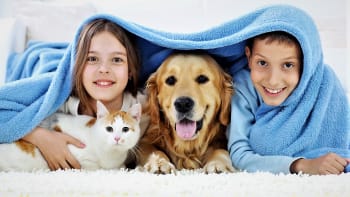 Pes, kočka a člověk ve společné domácnosti: 20 rad, jak udržet byt čistý a zdravý