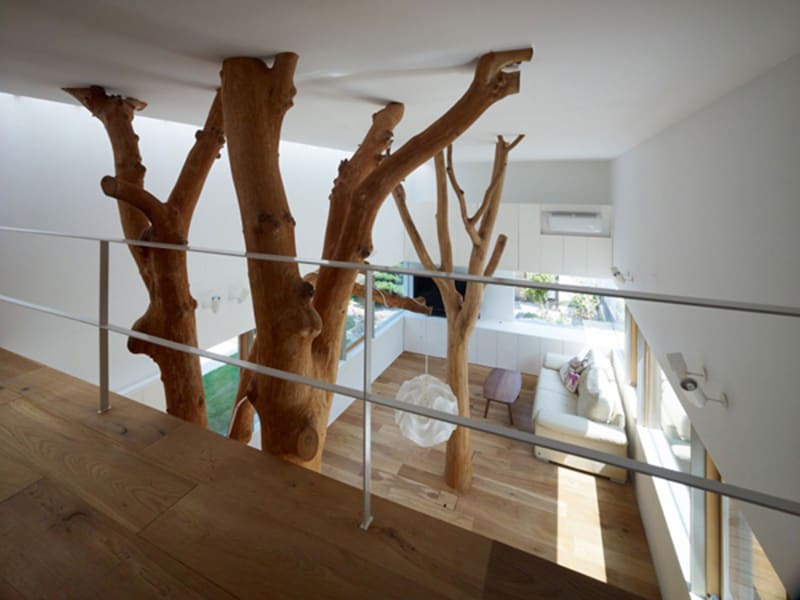 Stromy v bytě - Obrázek 8