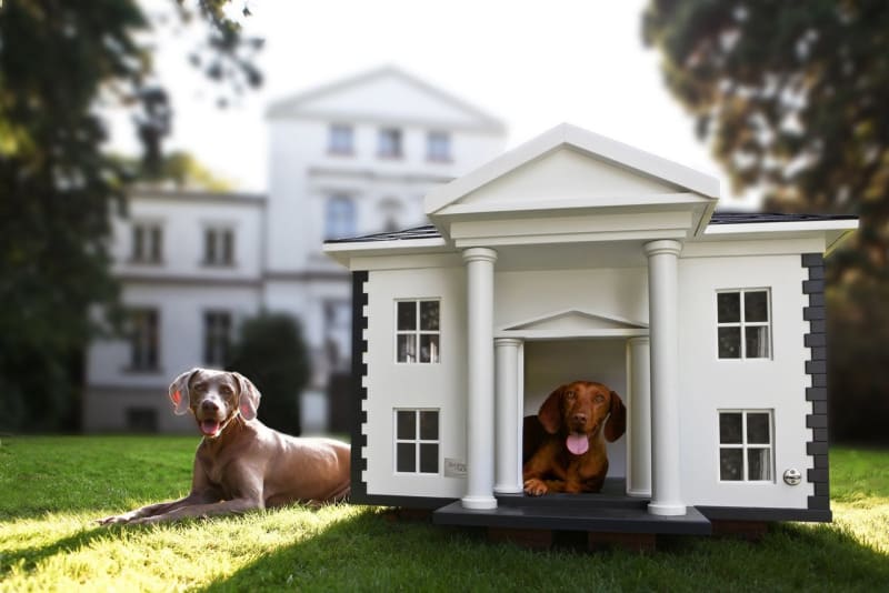 Luxusní psí boudy - Obrázek 12