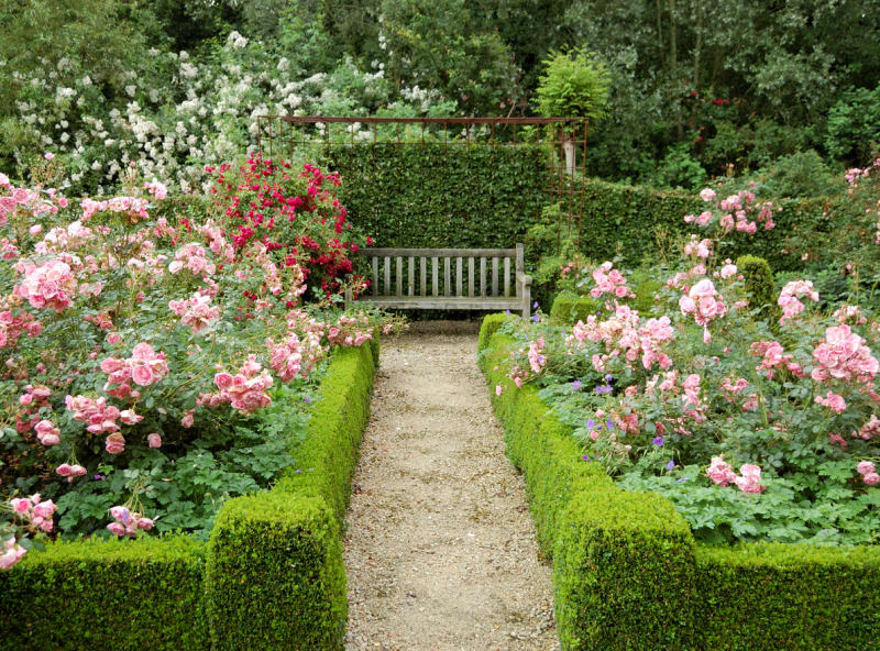 Nejkrásnější růžové zahrady 8