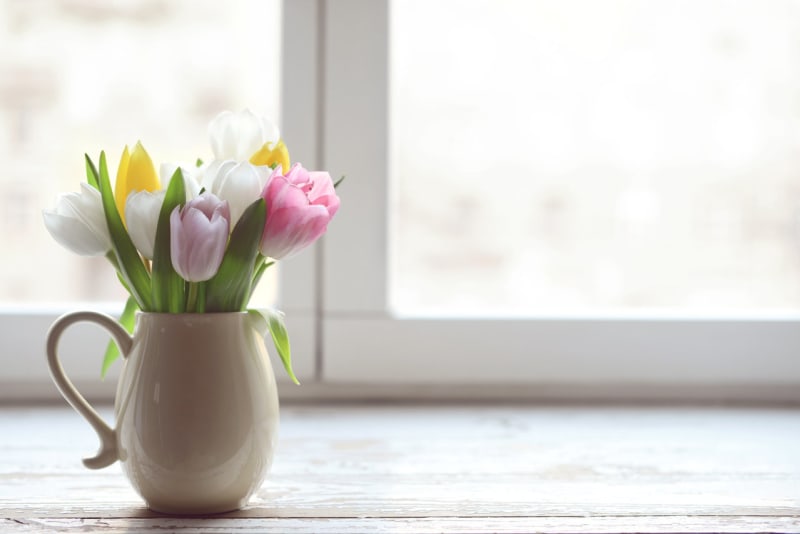 Květinový zvěrokruh tulipán