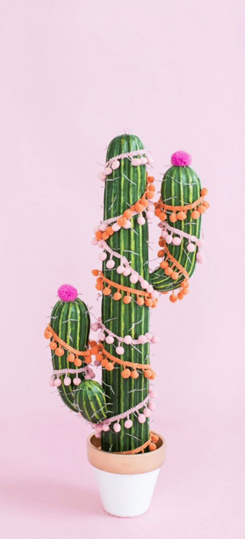 Pořídit si můžete i keramický kaktus.