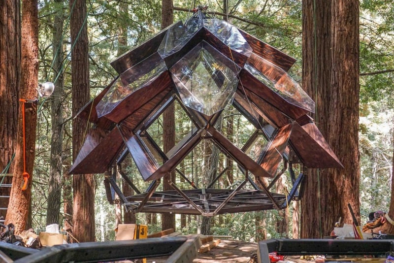The Pinecone Treehouse