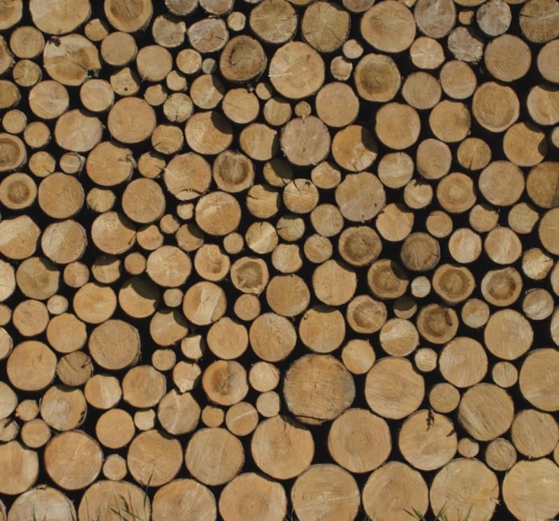 Dřevěné tapety - Obrázek 19