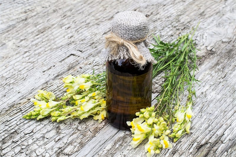 Od středověku má lnice květel v lidovém léčitelství své pevné místo v léčbě žlučníku, ledvin, žaludku a močového měchýře. Užívá se obvykle ve formě čaje a lihového extraktu (tinktury).