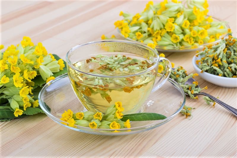 Prvosenka jarní se hodně používá do průduškových čajových směsí s dezinfekčním a odhleňovacím působením