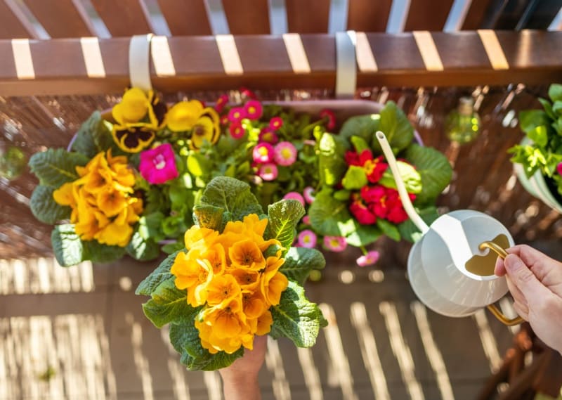 Osaďte truhlíky na balkoně kvetoucími otužilci 9
