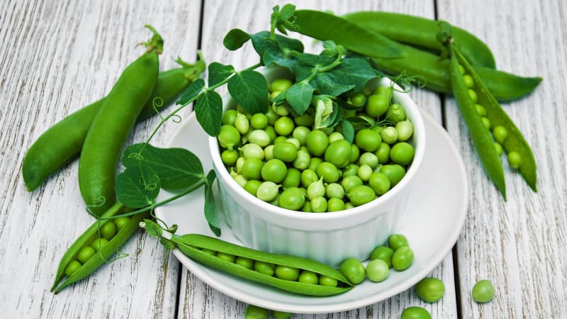 Čerstvý zelený hrášek obsahuje v rostlinné říši nezvykle vysoký podíl bílkovin, kterými mohou vegetariáni částečně nahradit příjem masa.