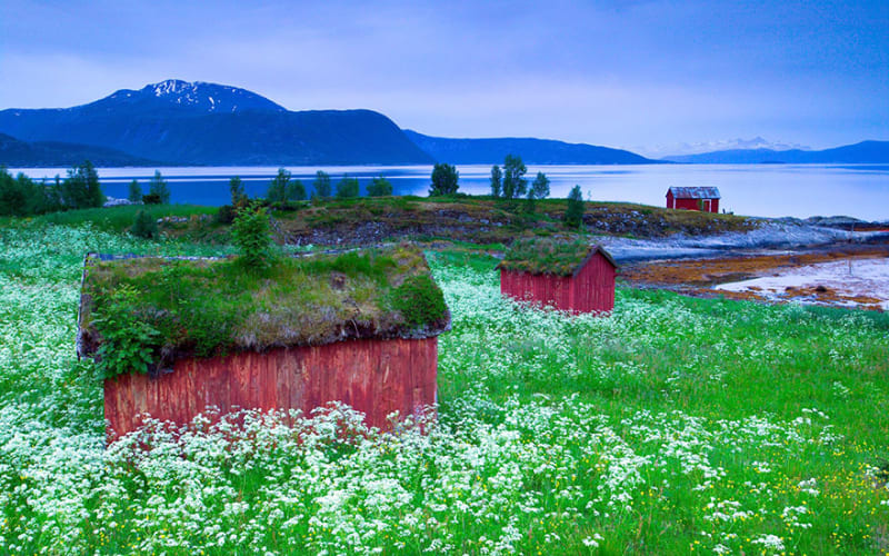 Norská krása - Obrázek 14