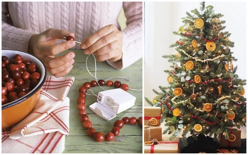 Americké brusinky využijete na vánoční dekorace i jako přírodní lék 4