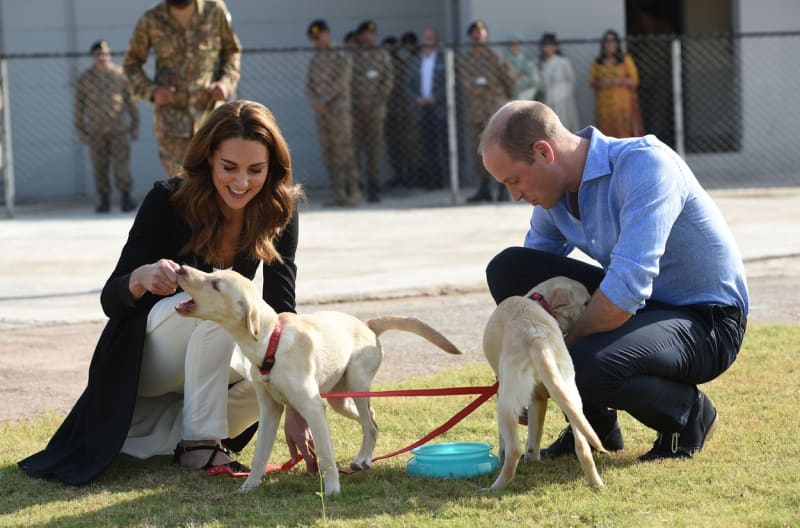 V britské královské rodině se dědí i láska k psům