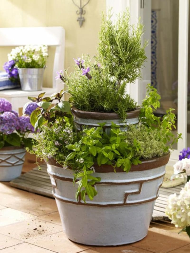 Nejkrásnější bylinkové balkony - Obrázek 5