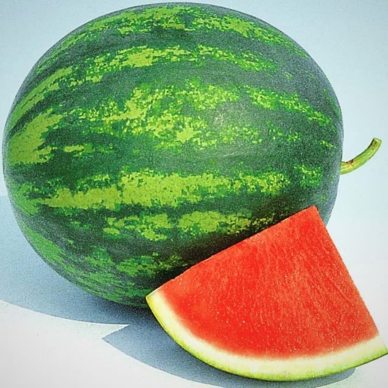 Bezzsemenný vodní meloun Granate F1 je lahodná hybridní odrůda triploidního melounu, který netvoří semena.
