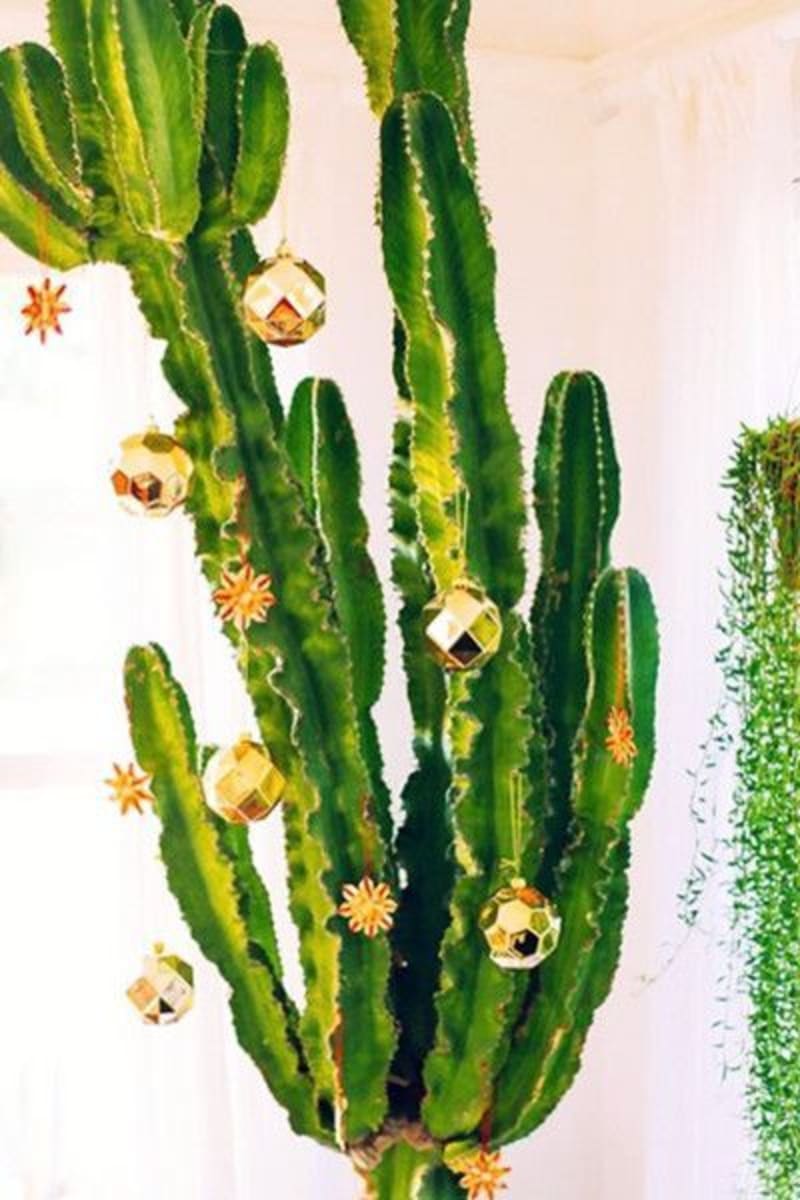 Zlaté ozdoby na kaktusu.
