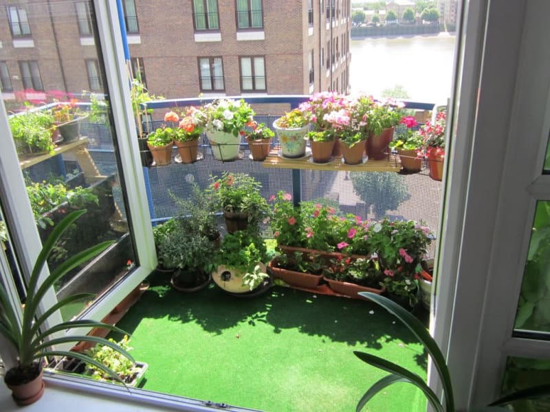 Nejkrásnější bylinkové balkony - Obrázek 3