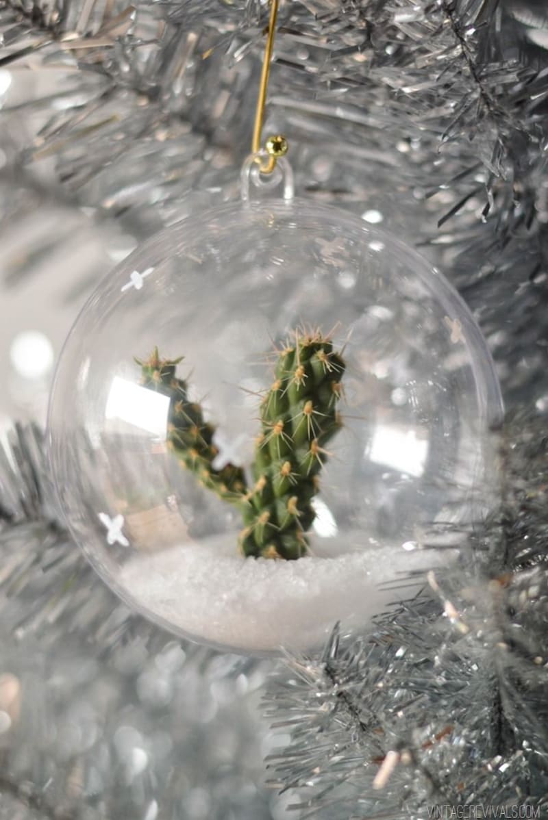 Miniaturní kaktus v ozdobě