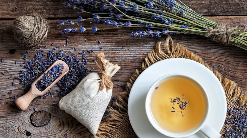 Levandulový čaj pomáhá proti stresu, přináší úlevu i při letních virózách. Naučte se ho připravit