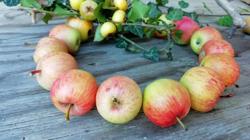 Podzimní věnec z drobných planých jablíček. Jednoduchá dekorace zpříjemní chladnější dny