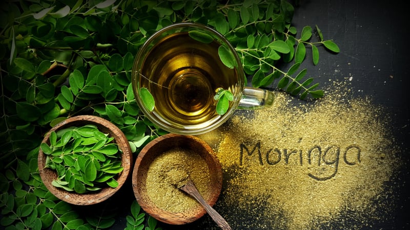 Moringa olejodárná je zázračná superpotravina, kterou můžete pěstovat jako přenosnou rostlinu
