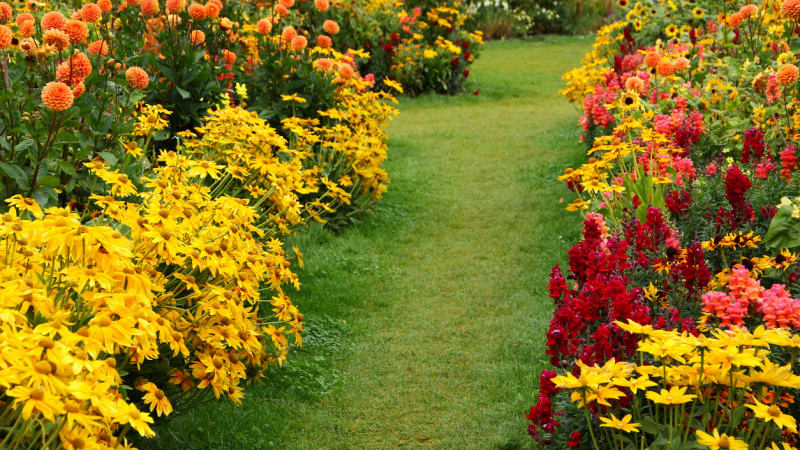 Zahrada zalitá sluncem: Více, než 40 druhů květin a keřů pro dobrou náladu