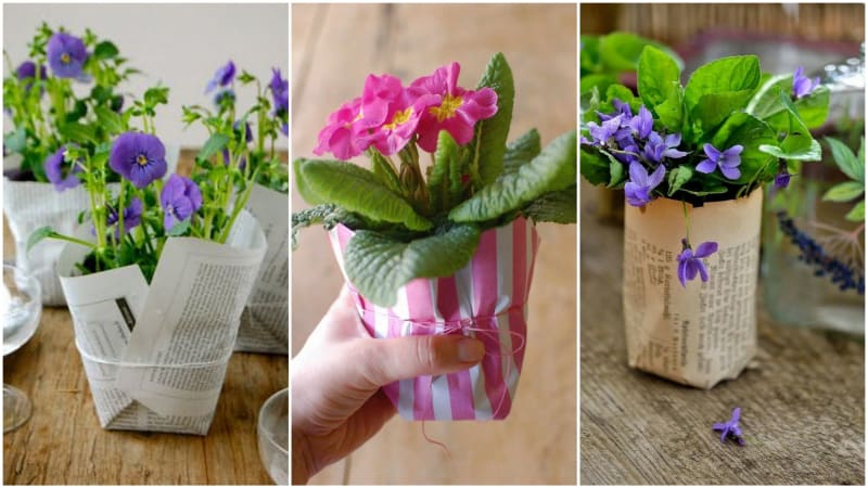 Darujte jarní květinu v originálním balení. Za málo peněz hodně muziky