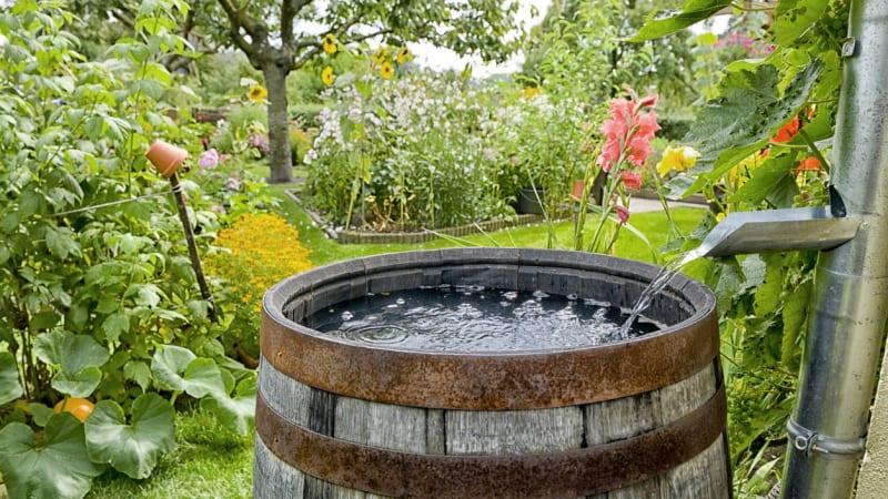 Jak ušetřit za vodu na zahradě díky dešťovce: Naučte se ji konečně využít do poslední kapky