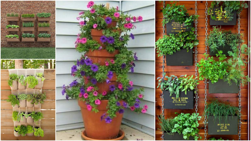 Malá zahrada? Pěstujte rostliny vertikálně! Zkuste závěsné kapsy i pyramidy z květináčů