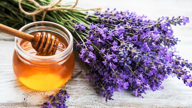 Jak naložit léčivé byliny a koření do medu. Zkuste to s lípou, levandulí nebo růží