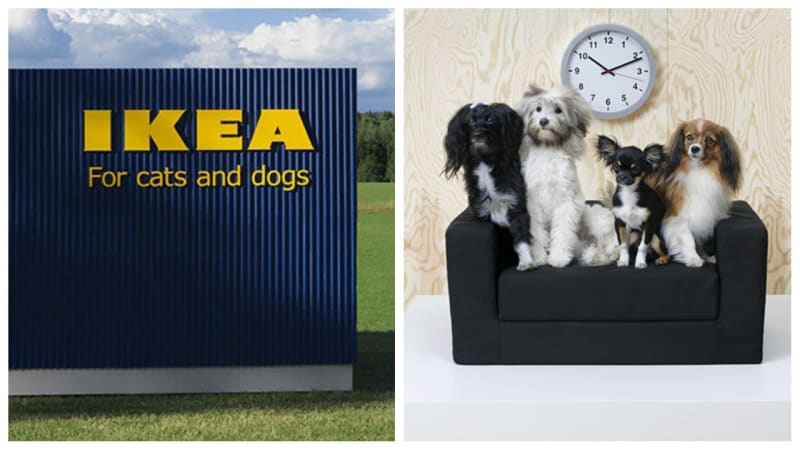 IKEA představila kolekci nábytku pro kočky a psy. Mají vlasní gauč nebo stoleček