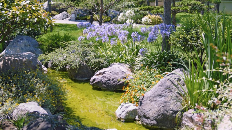 6 praktických rad, jak na moderní zahradu