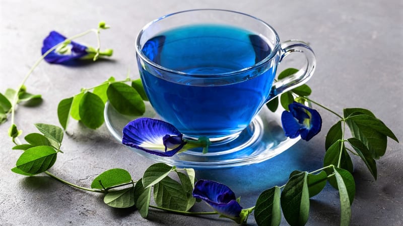 Modrý čaj z krásných květů klitorie pomáhá zvládnout únavu a stres i zpomalit stárnutí