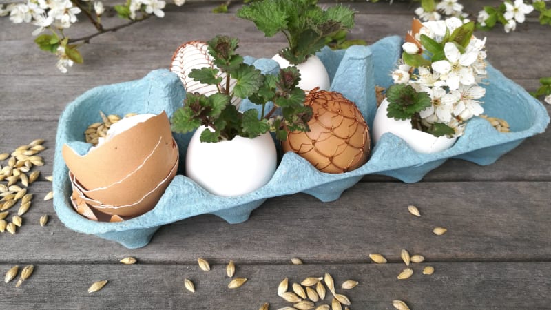 Velikonoce v blankytně modré barvě: Vytvořte bylinkovou zahrádku a vejce obarvěte zelím