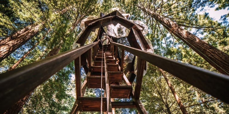 The Pinecone Treehouse - Vypadá kouzelně a vznáší se vysoko nad zemí pod korunami stromů. The Pinecone Treehouse 