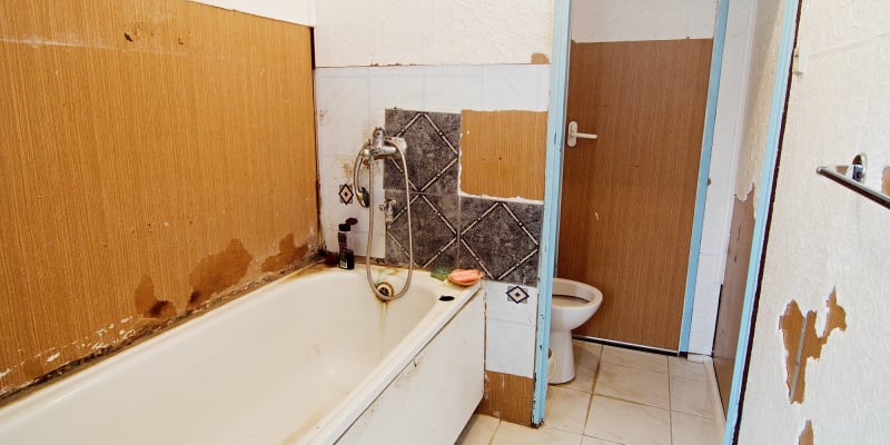 Nenáviděný umakart: Proč se v českých koupelnách tak zabydlel a co to vlastně je?