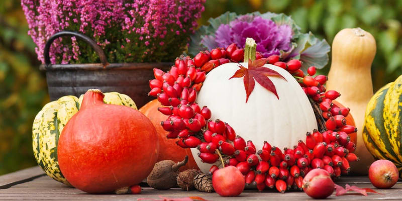 Nejkrásnější podzimní dekorace vytvořte z šípků  1