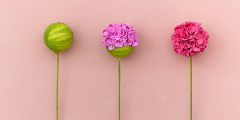 Květy hortenzií z pěnové hmoty 1