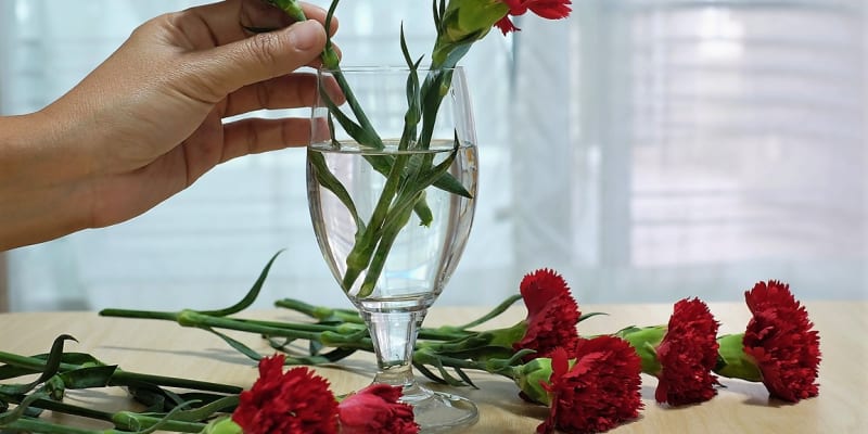 Než květiny umístíte do vázy, zbavte stonky přebytečných listů. Pak je seřízněte šikmo ostrým nožem pod úhlem zhruba 45 stupňů. Účelem tohoto řezu je zvětšit plochu, kterou do sebe květina může dostávat vodu a živiny.