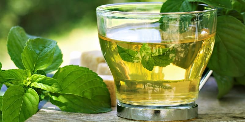 Čaj i limonáda z lístků čerstvé máty mají nezaměnitelnou mentolovou vůni a palčivě kořeněnou větrovou chuť. Mátové nápoje mají ochlazující účinky a skvěle zaženou žízeň, proto jsou nedocenitelné především v letních měsících.