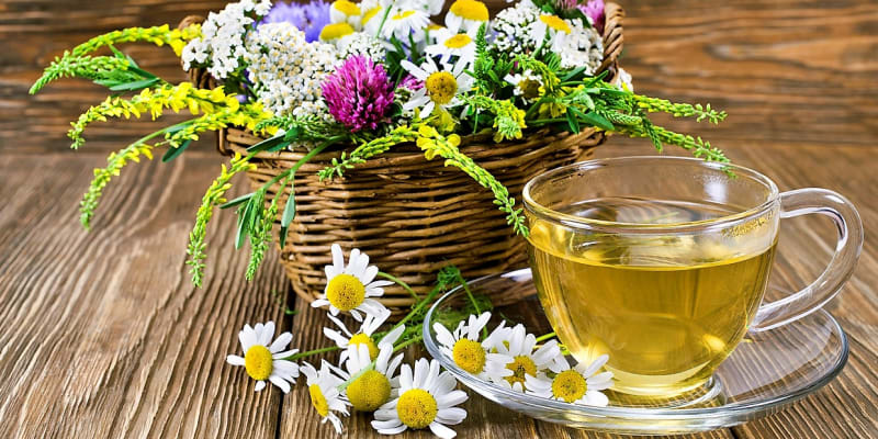 Z čerstvě natrhaných svatojánských bylin si můžeme udělat čaj nebo koupel, hojivé oleje, tinktury, octy, mastičky nebo ochucený med a sladký sirup. 