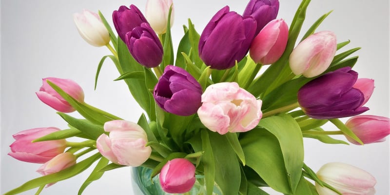 Většině květin vyhovuje voda odstátá, nejlépe pokojové teploty. Ale neplatí to stoprocentně – tulipány mají rády vodu studenou, klidně do ní přidejte pár kostek ledu, zatímco růže ocení vodu teplejší.