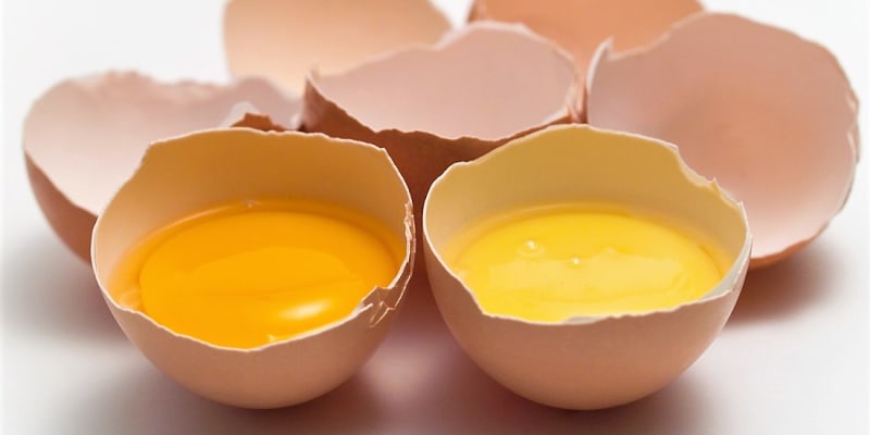 Lákavě oranžové žloutky však dneska mají i vejce zakoupená v obchodech. A to díky krmné směsi obsahující kukuřici.