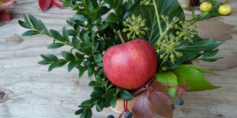 Květináčky jako báječná a rychlá dekorace: Jablko nebo hrušku posaďte doprostřed vytvořené manžetky z větviček.