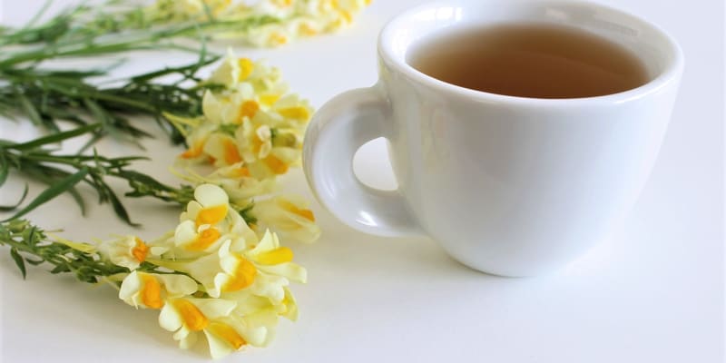 Lnice květel: Čaj pijeme teplý až vlažný dvakrát denně po jídle nebo toto množství vypijeme během dne po doušcích.