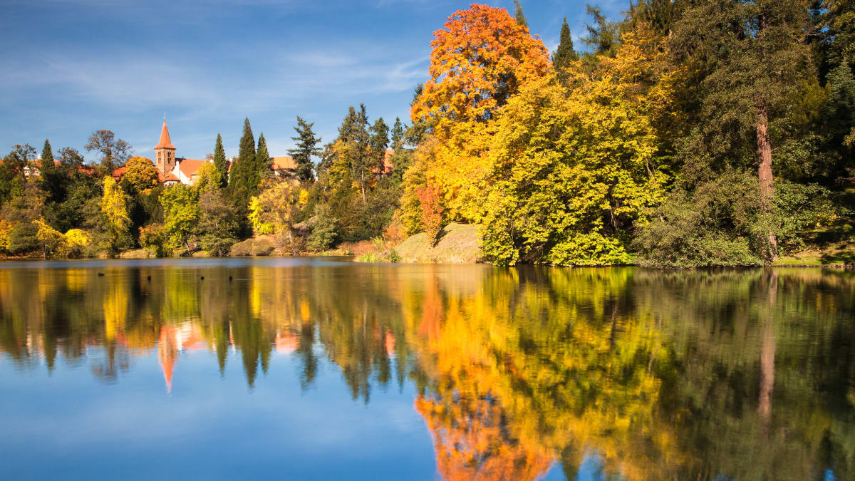 Nádherná podzimní příroda parku se dokonale odráží na hladině jezera