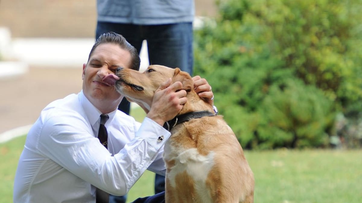 Tom Hardy a jeho pes