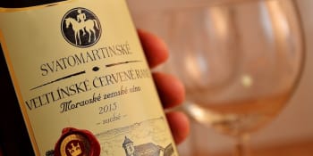 Mladé, svěží a s osobitým charakterem. Čím se svatomartinské víno liší od ostatních?