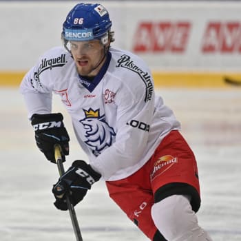 Hokejista Jiří Smejkal