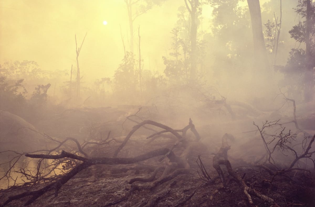 Dusivý dým, oheň a mrtvé stromy  každoroční realita v Amazonii.