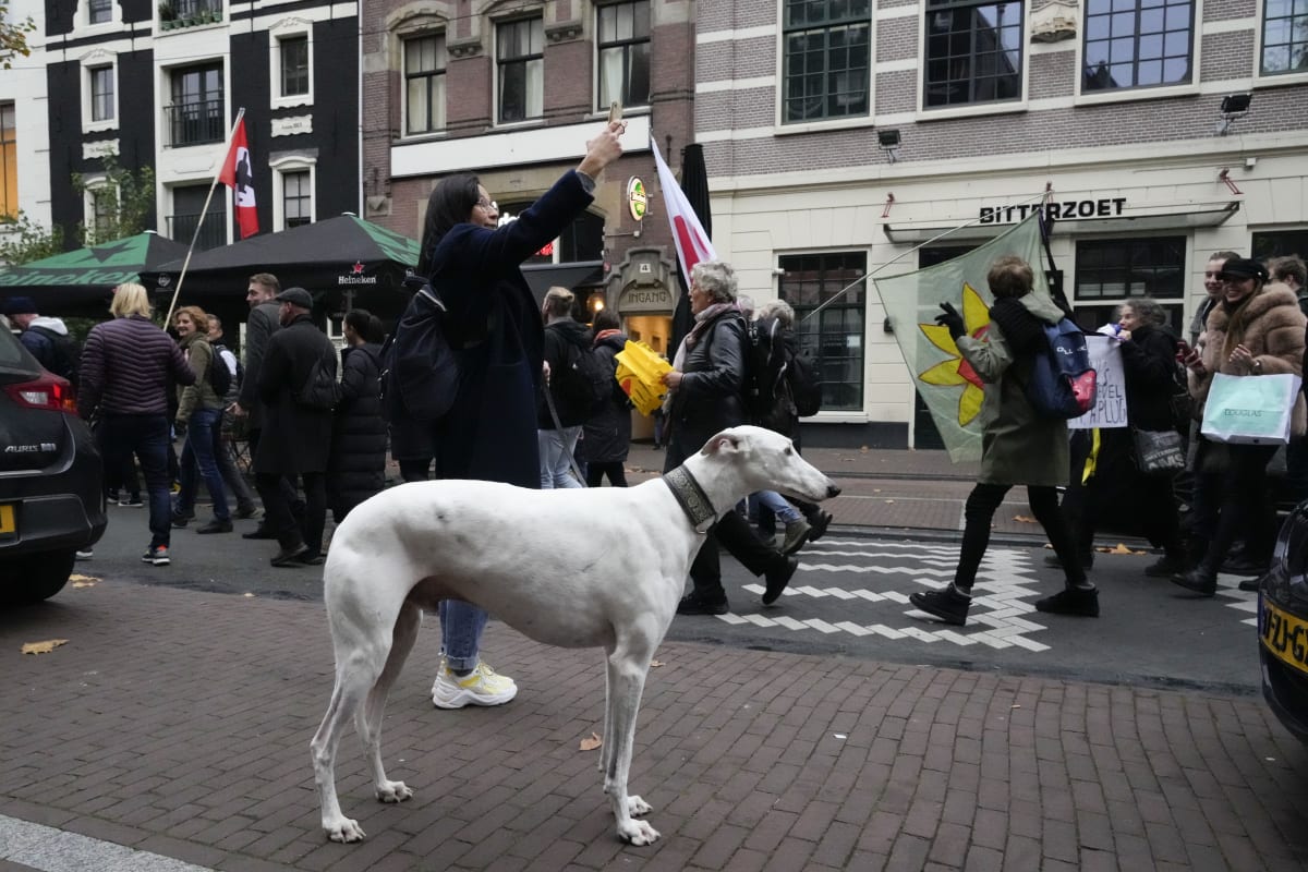 V Amsterdamu se i přes zrušenou demonstraci sešlo několik set odpůrců covidových restrikcí a očkování.